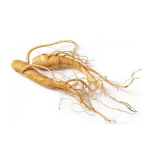 Ginseng root extract